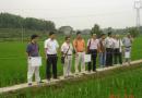 四川省种子站领导考察高坪区品种试验
