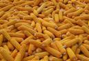 2022年河北省玉米大豆品种展示评价试验结果通报