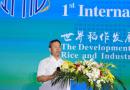 2021（长沙）国际稻作发展论坛