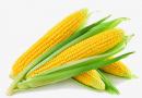 国家级玉米品种审定标准（2021年修订）